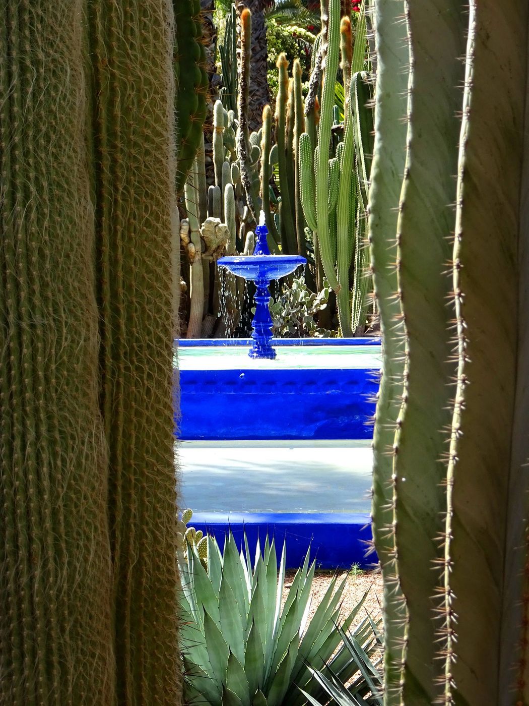 Marrakech Jardin Majorelle