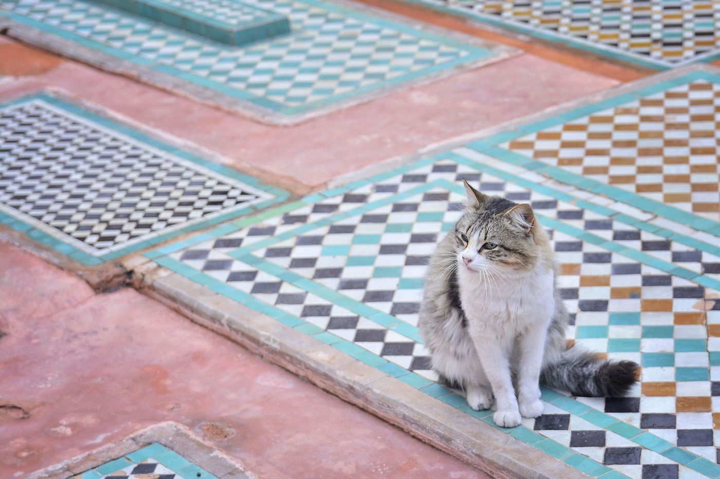 Marrakech Tombeaux saadiens