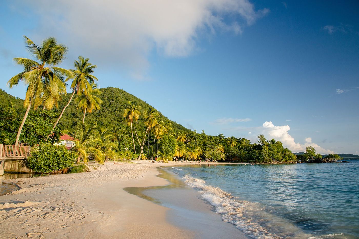 Martinique Anse Figuier