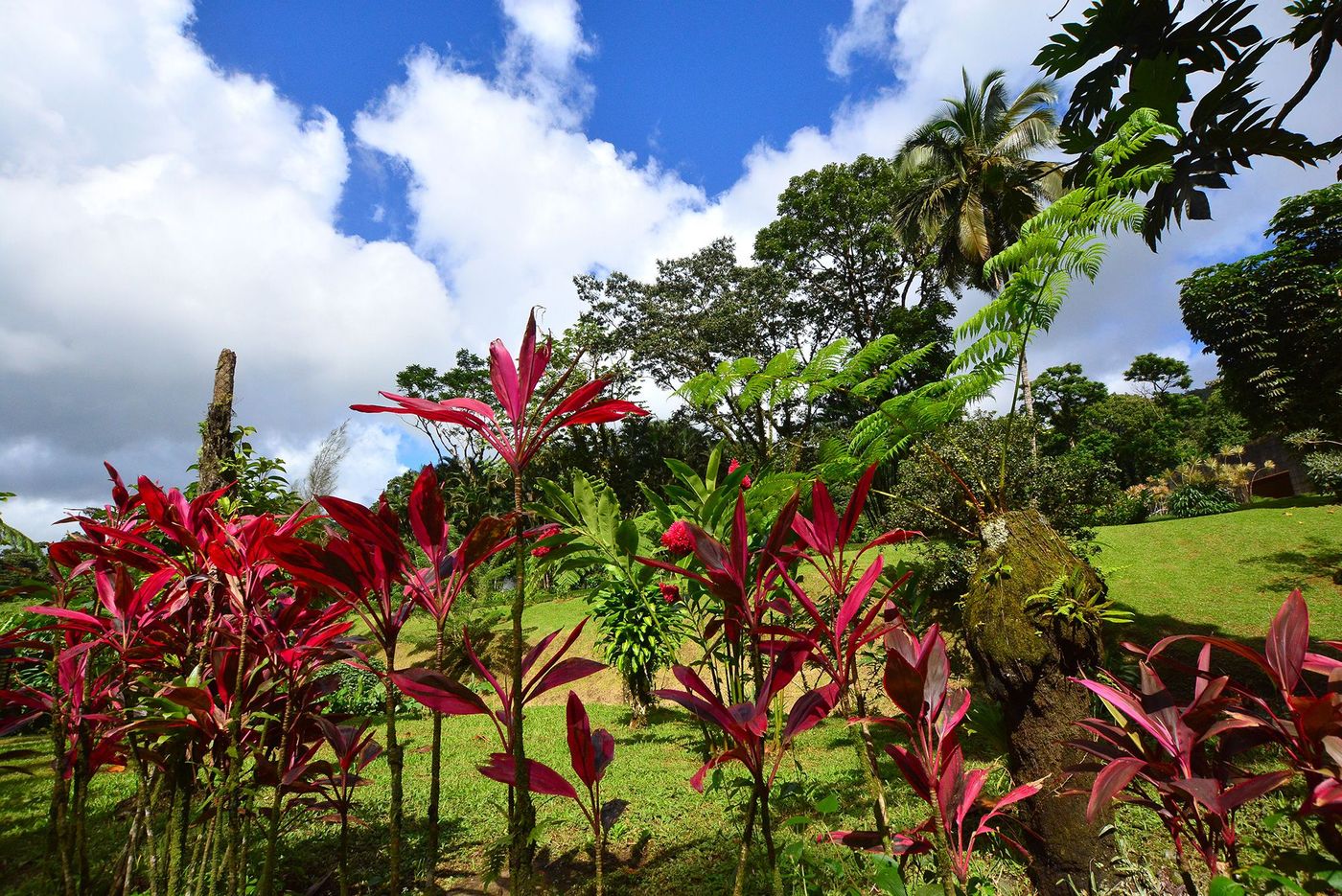 Martinique Domaine d'Emeraude