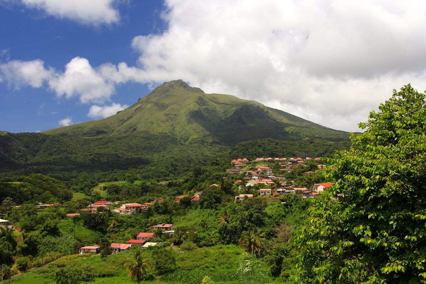 Montagne pelée
