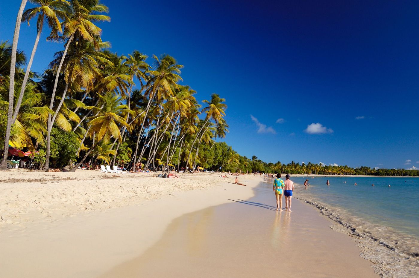 Martinique Plage des Salines