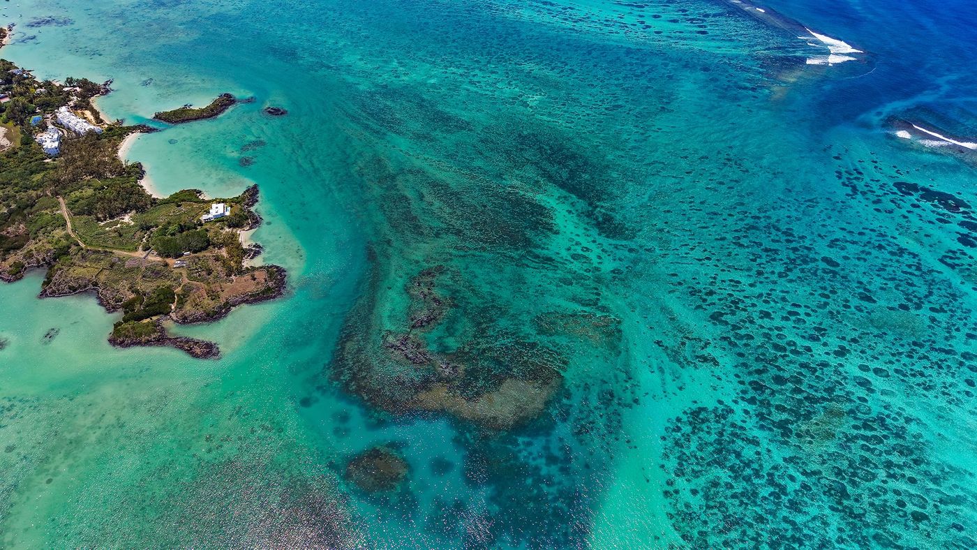 Récif corallien de l'océan Indien au large de Maurice