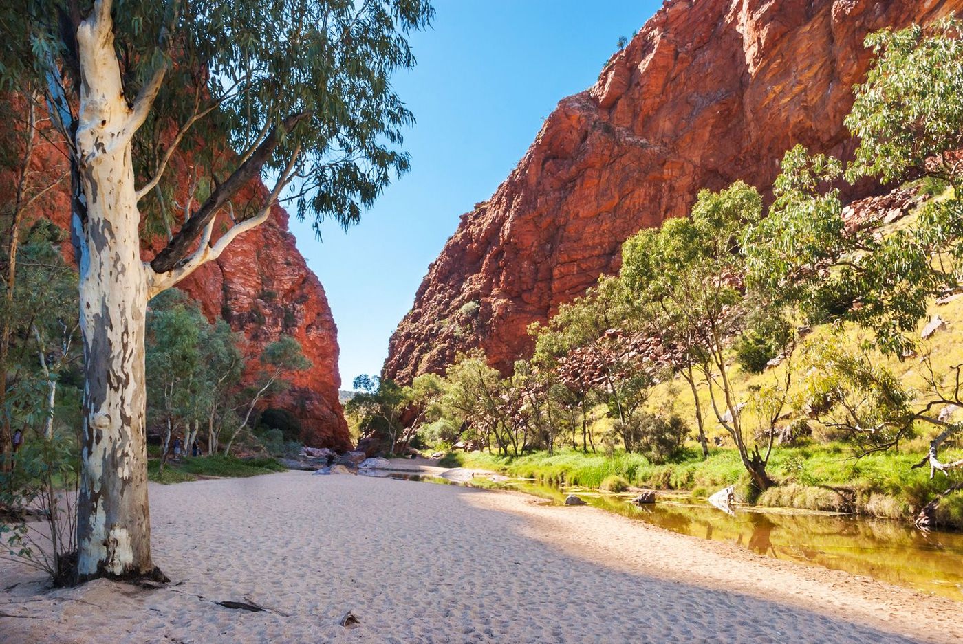 Australie MacDonnell Ranges Simpson's Gap