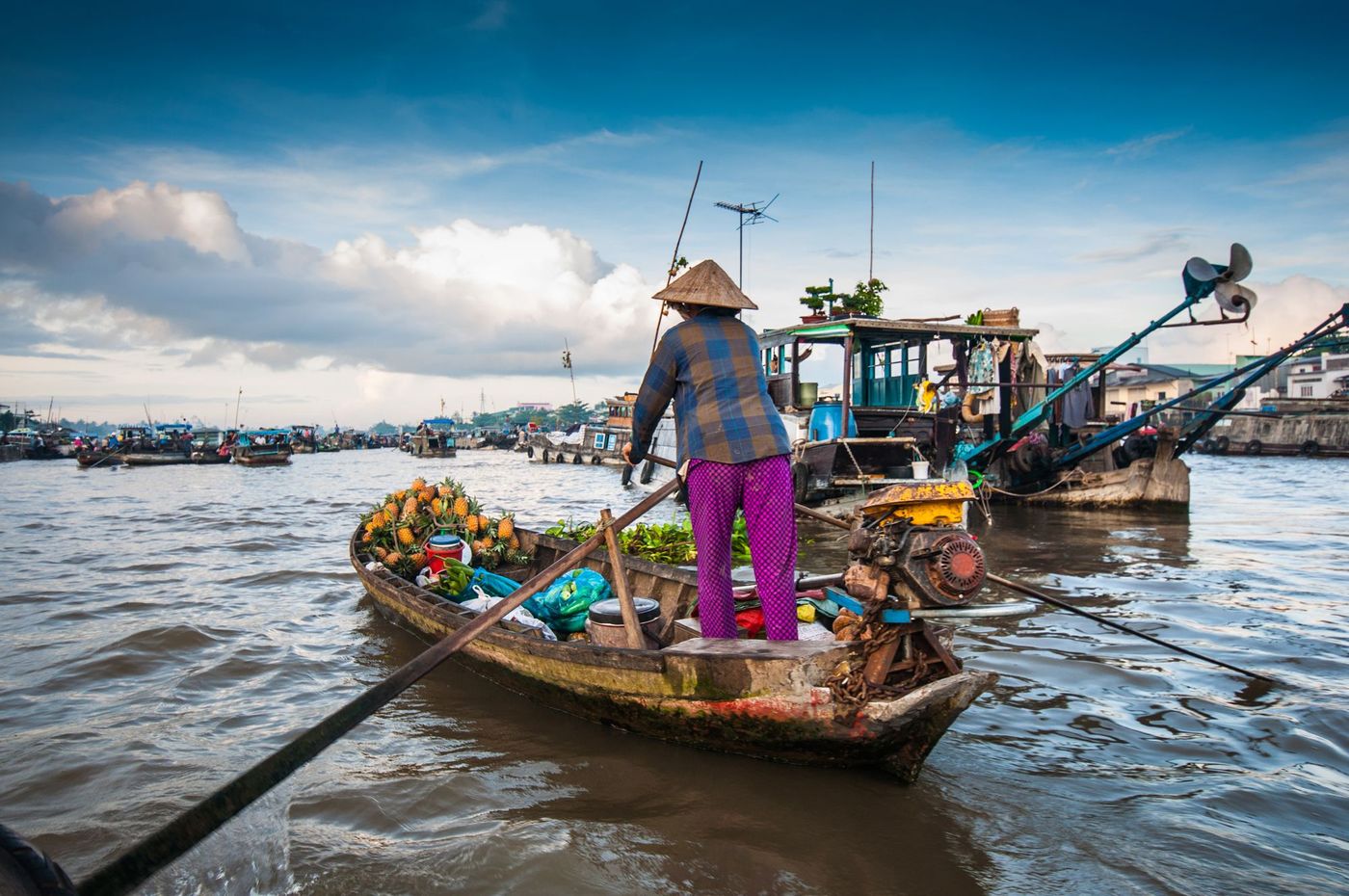 Mekong Fleuve Vietnam