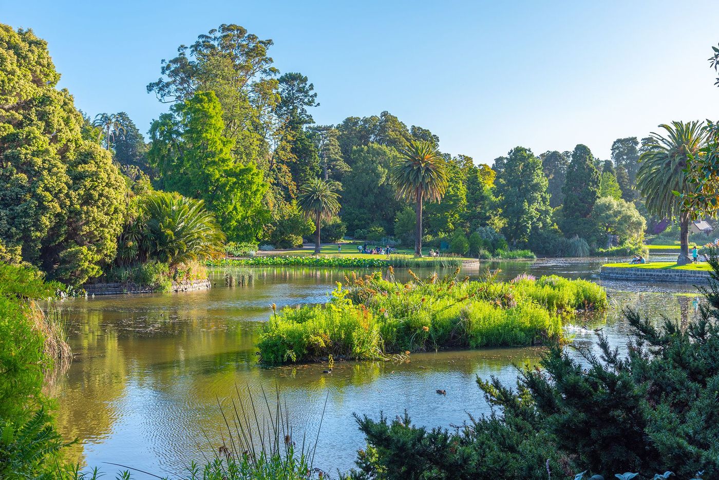 Melbourne Royal Botanic Gardens