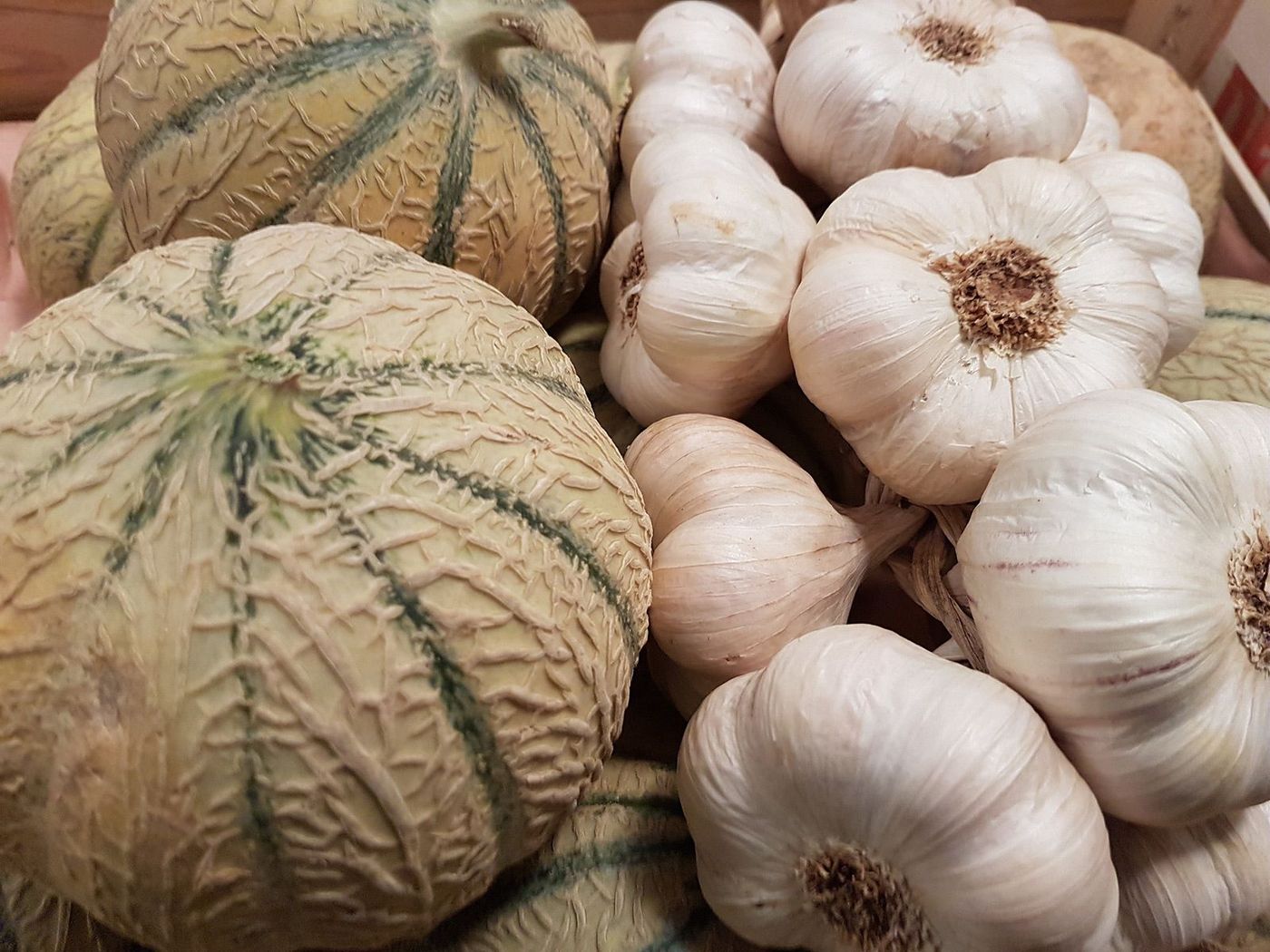 France Gers Melons de Lectoure et ail du Gers
