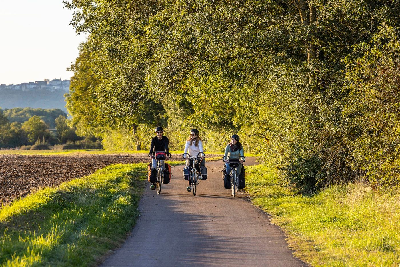 Ménétréol-sous-Sancerre - route forestière