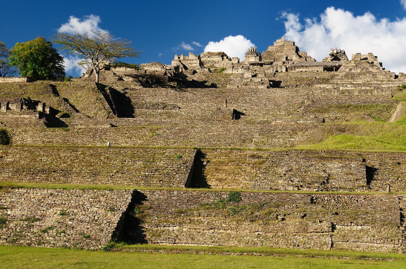 Mexique Tonina