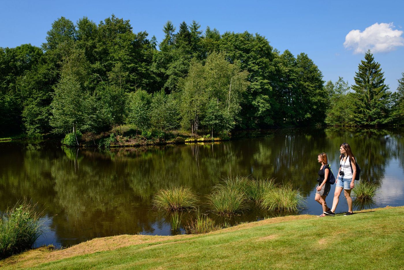 Mille Etangs Franche Comte