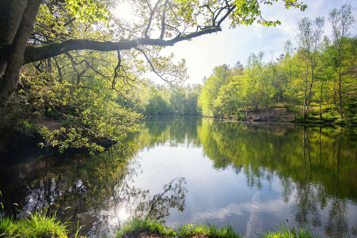 Miroir aux Fées