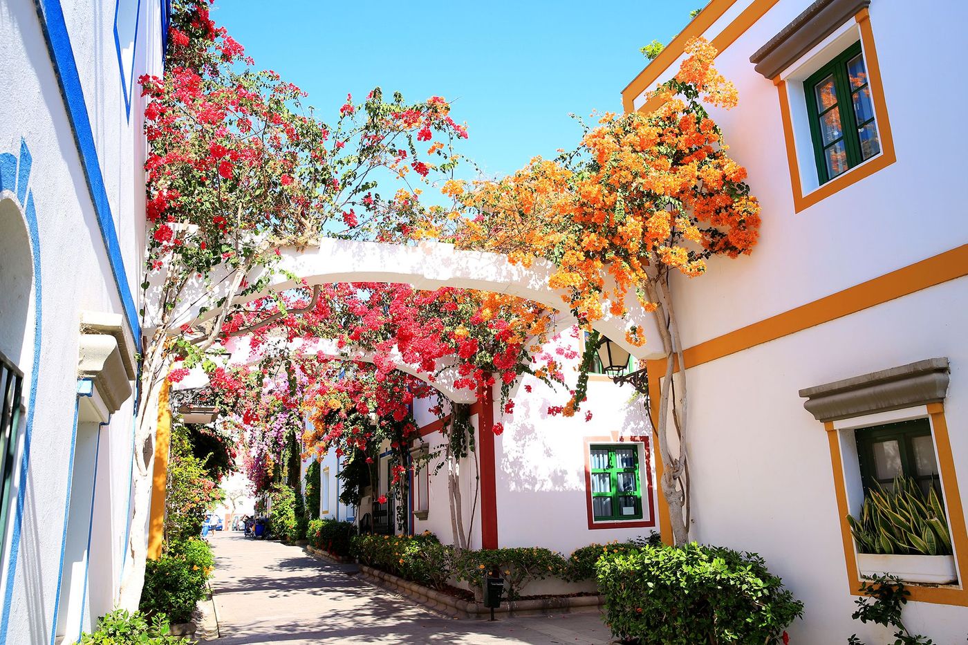Mogán – Gran Canaria