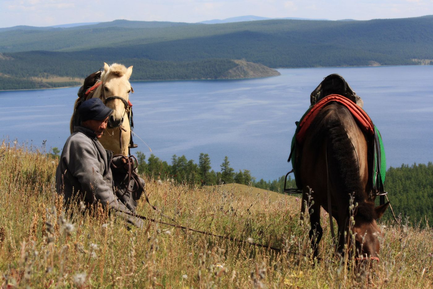 Randonnée équestre près du lac Khovsgol - Mongolie