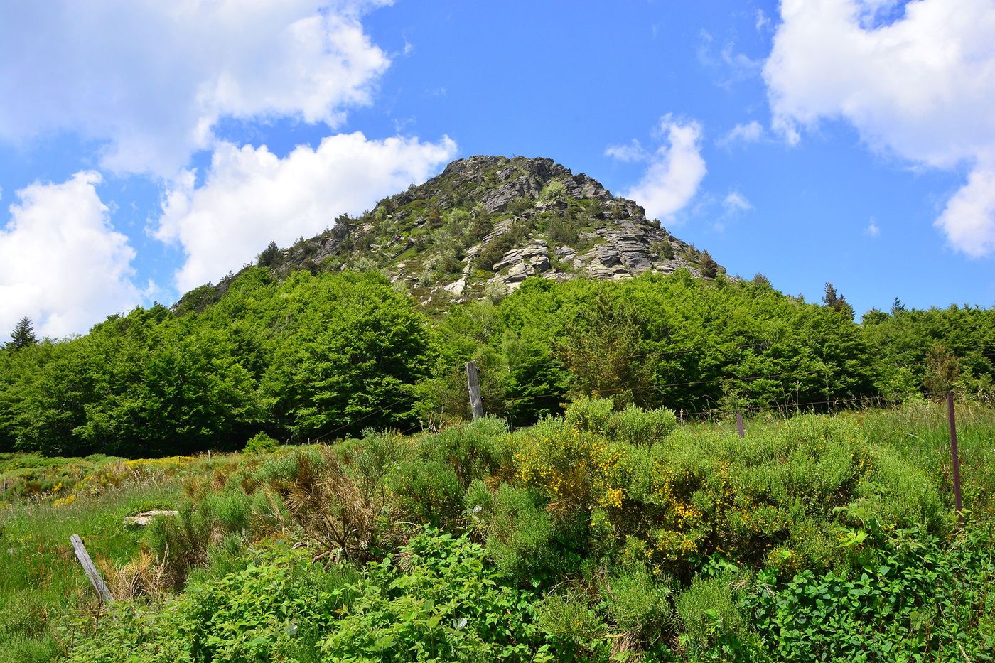 Mont Gerbier-de-Jonc