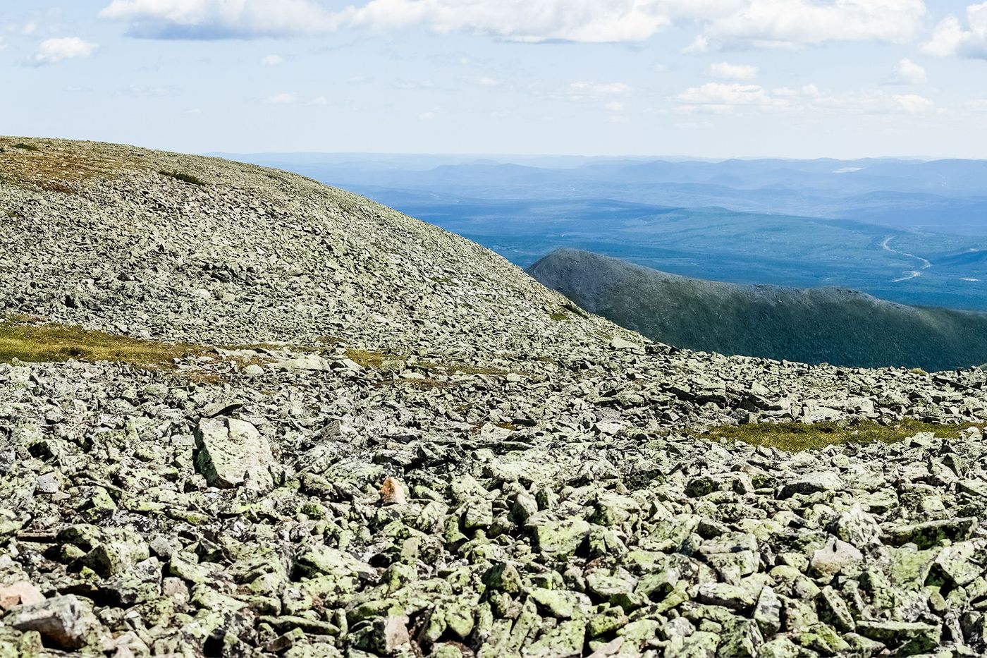 Mont Jacques-Cartier - champ de pierres