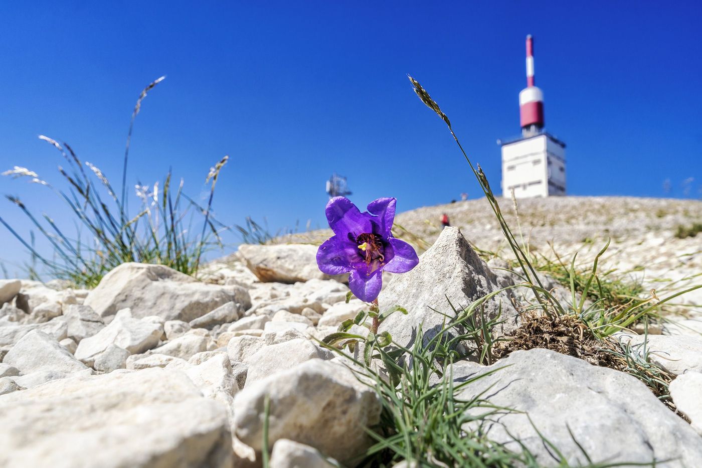 Provence Mont Ventoux
