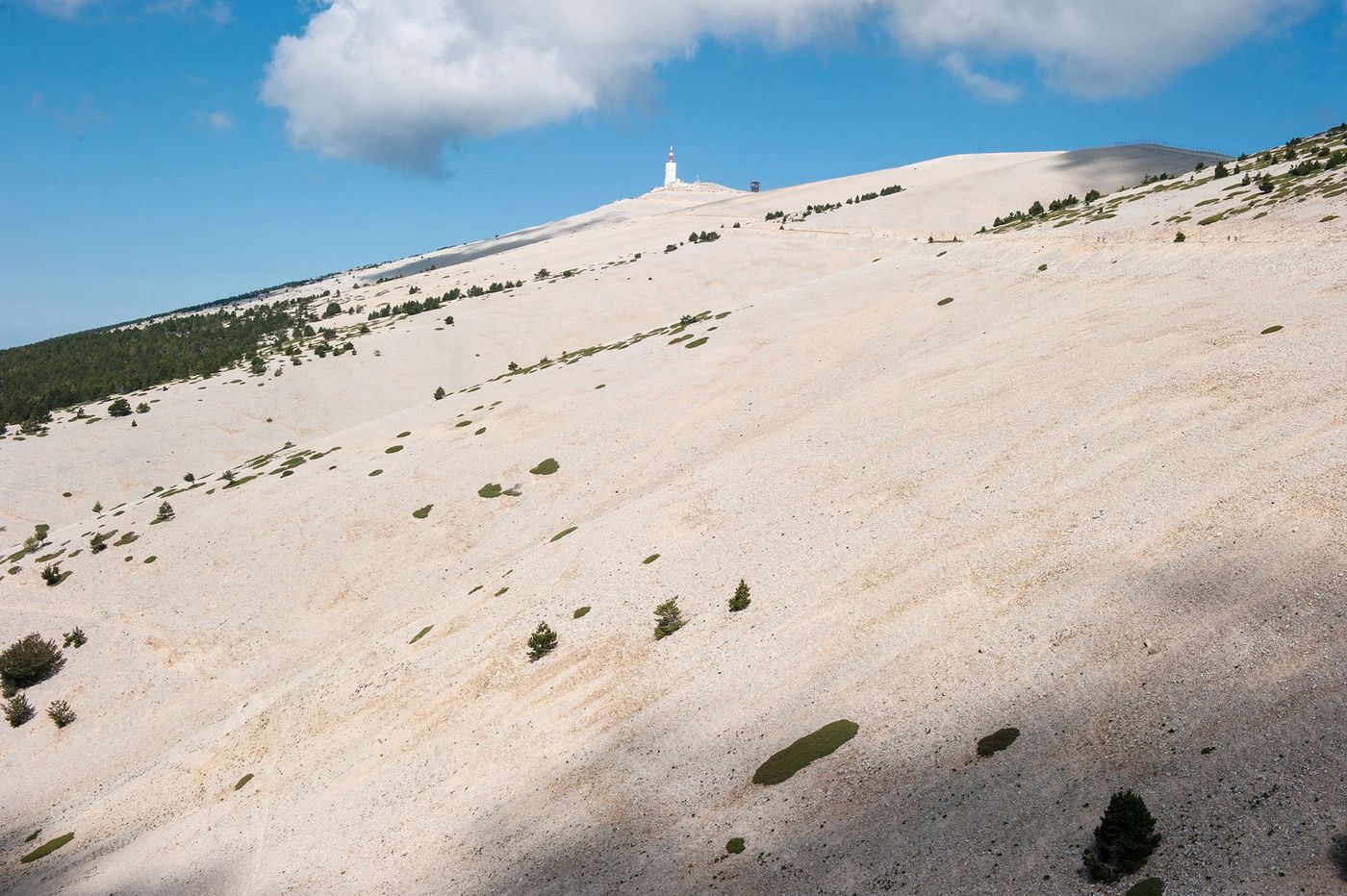 Provence Mont Ventoux