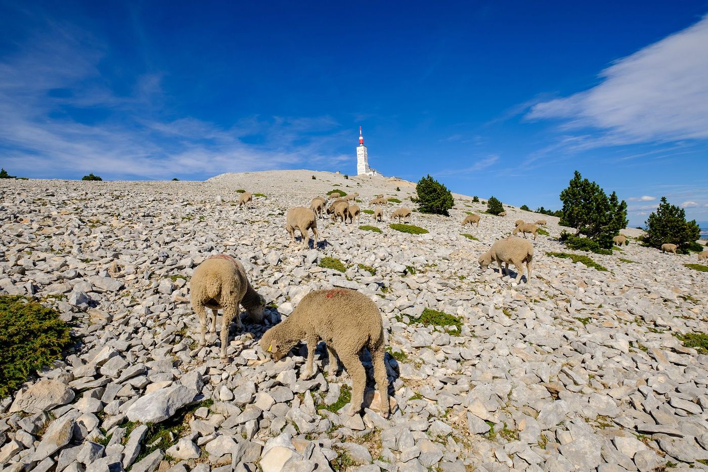 Provence Mont Ventoux