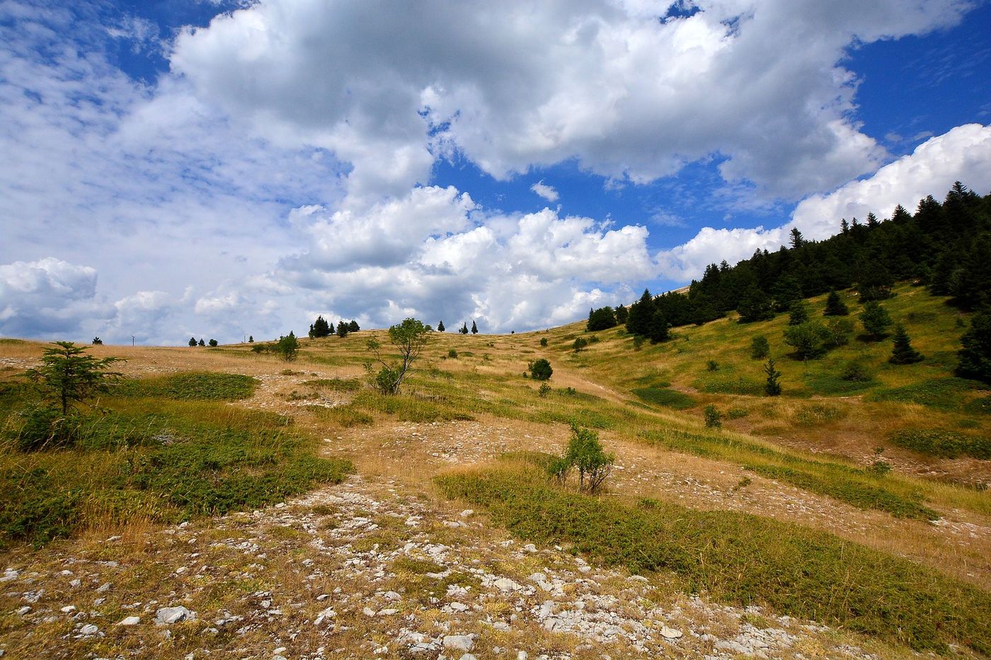 Montagne de Lure