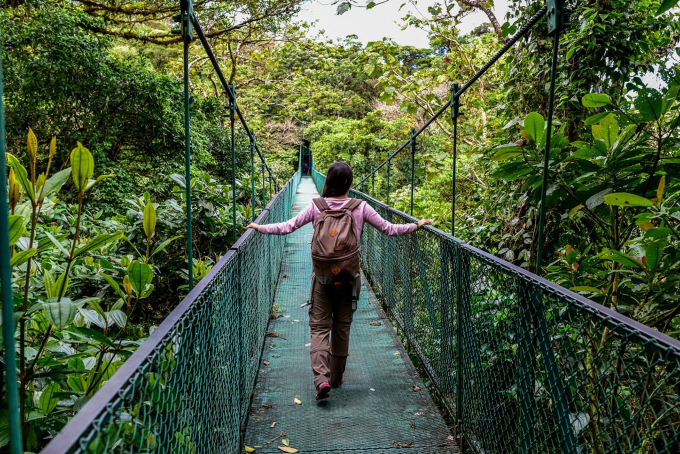 Pont de singe au Costa Rica