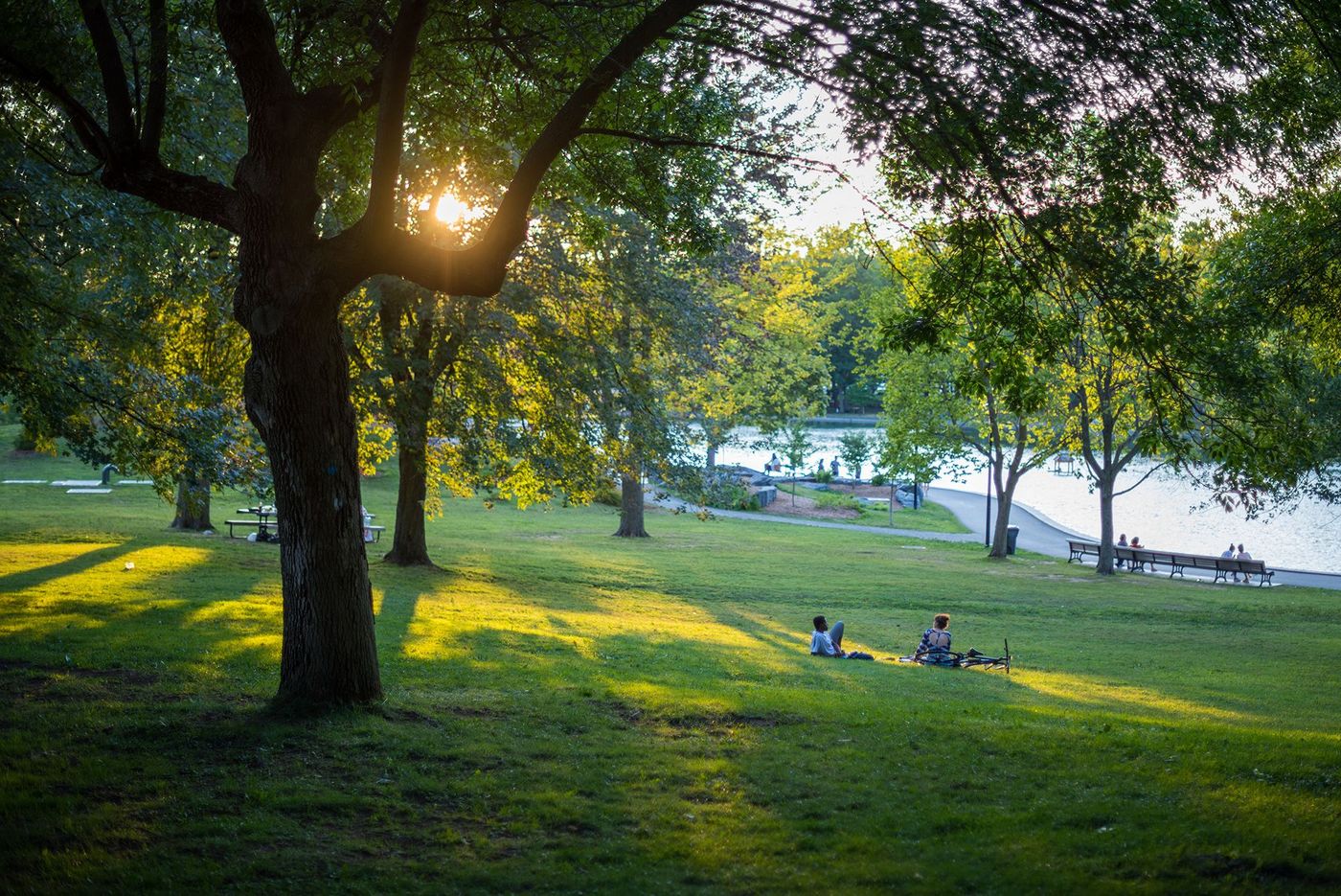 Montréal Parc du Mont Royal