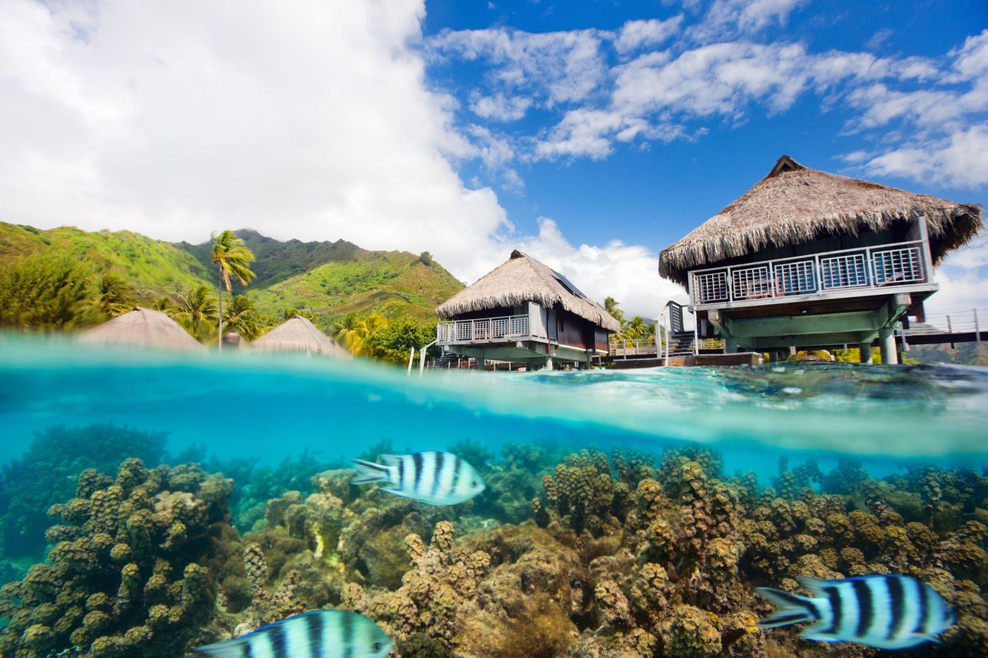 Moorea Polynesie française Ile