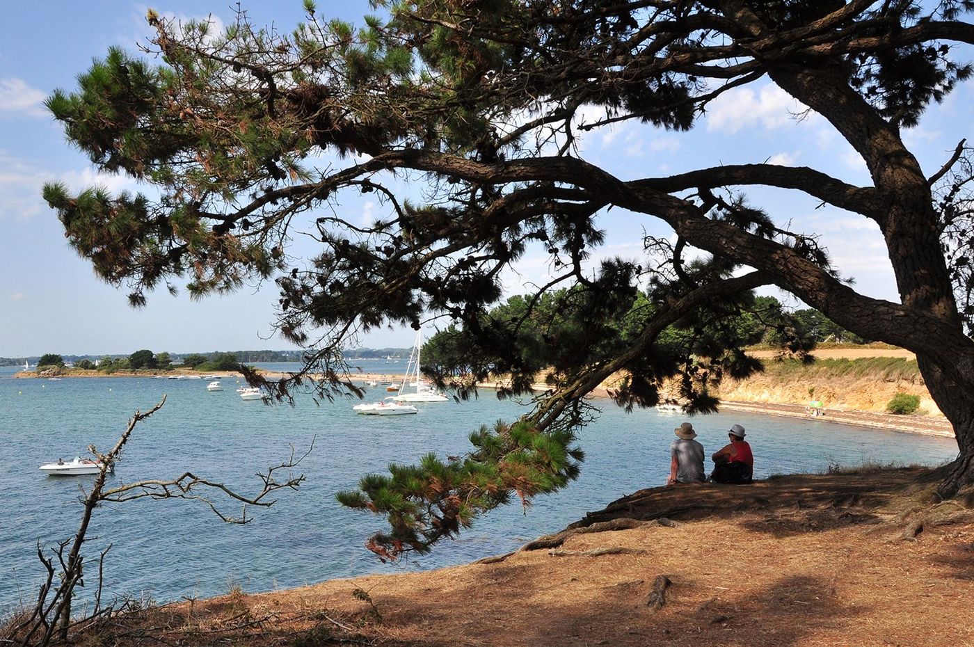 Bretagne Golfe du Morbihan Arz