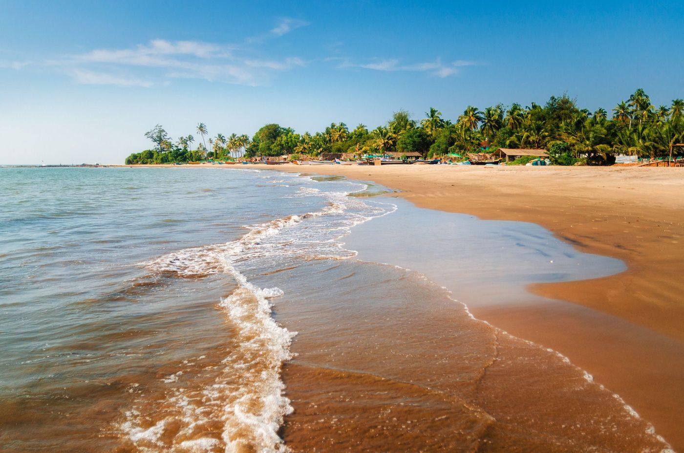 Inde Goa Morjim Beach