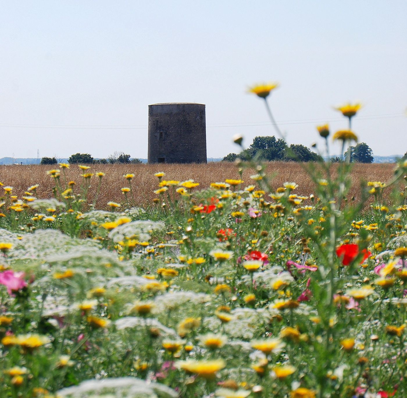 Moulin à vent