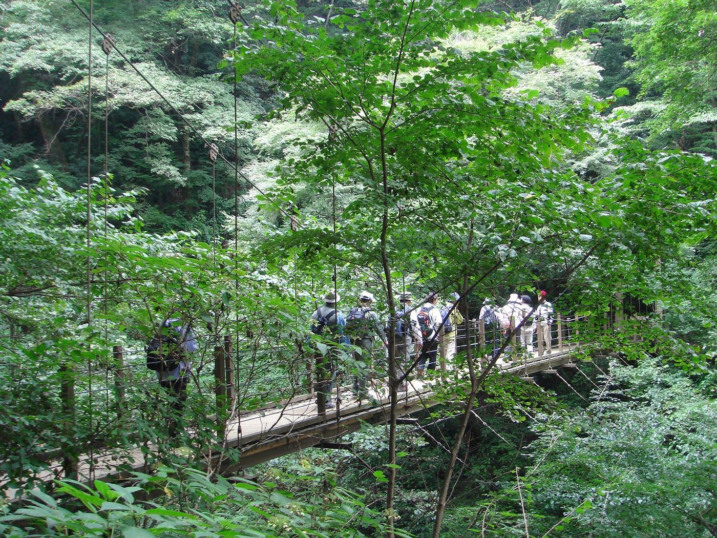 Mt Takao