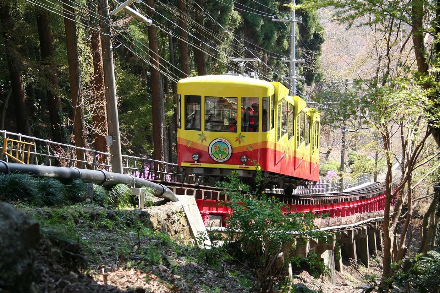 Mt Takao
