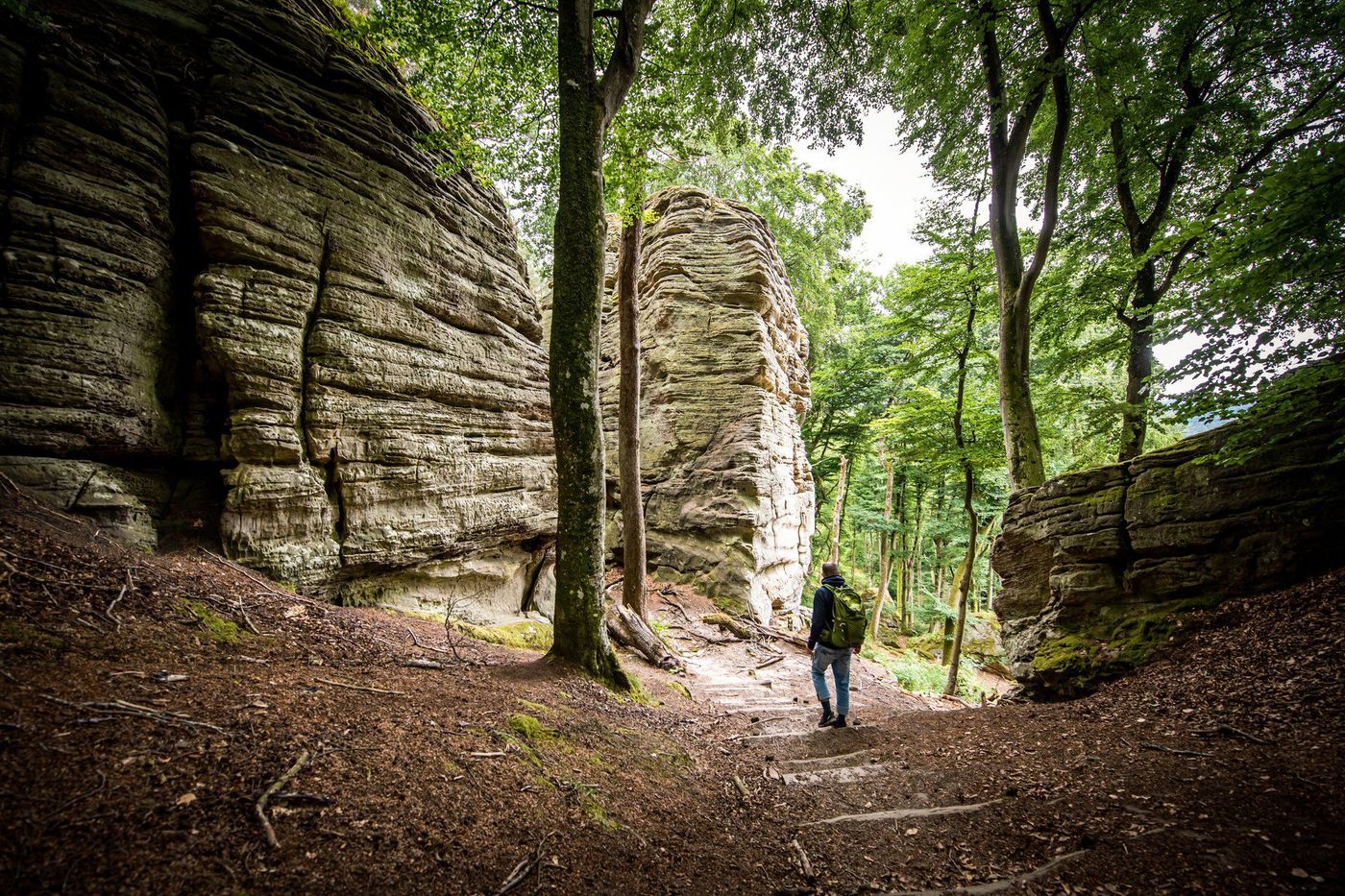 Mullerthal Trail