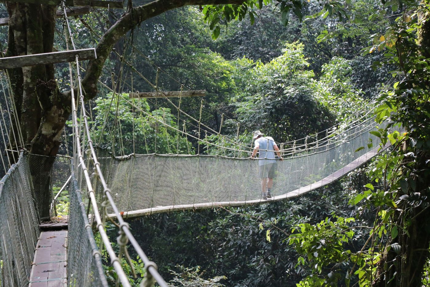 Malaisie Bornéo Sarawak Parc de Mulu
