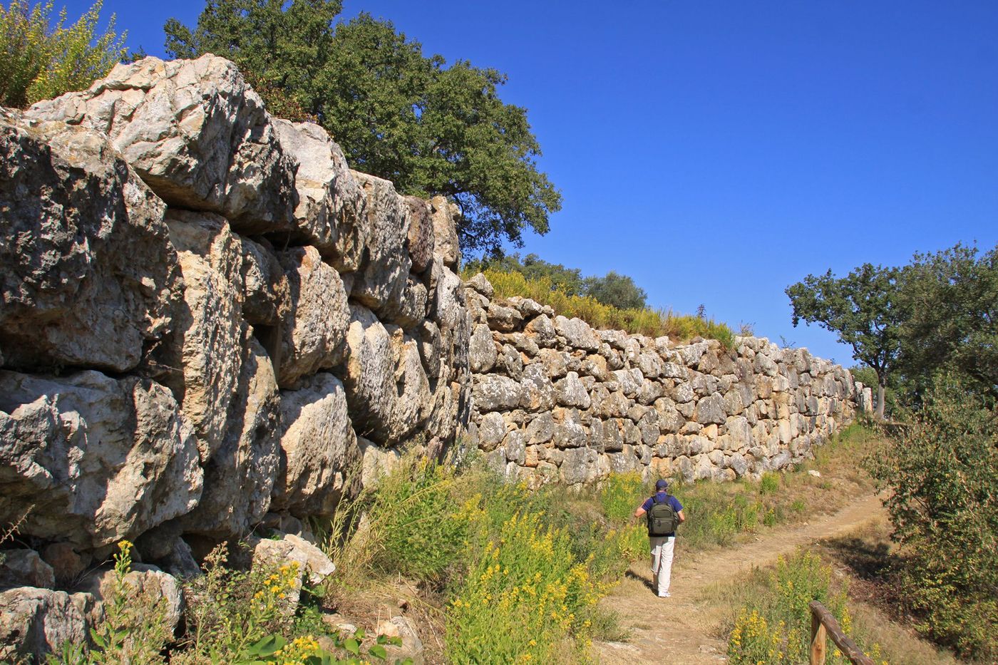 Murs d’enceinte - Roselle