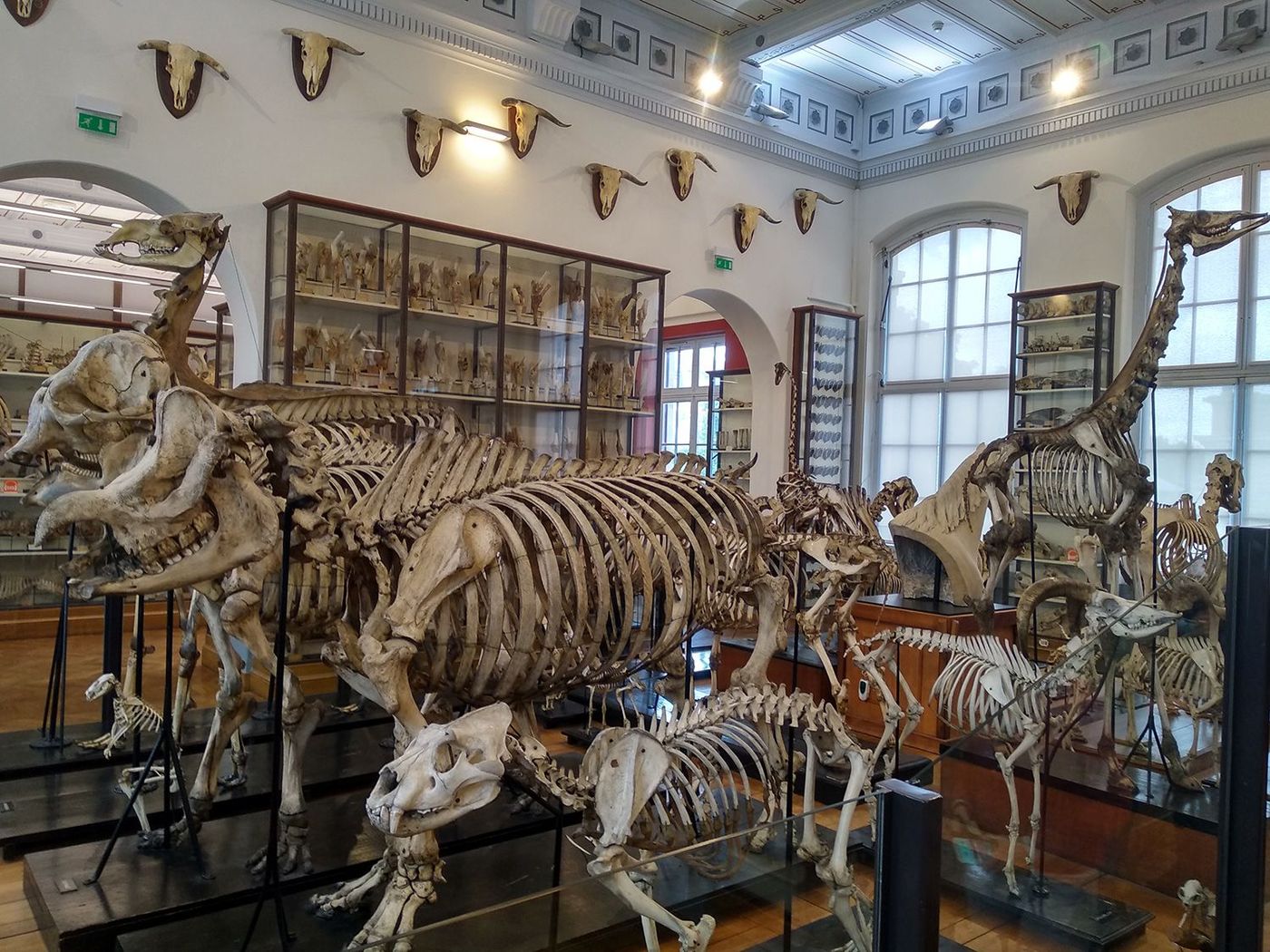 Musée Fragonard