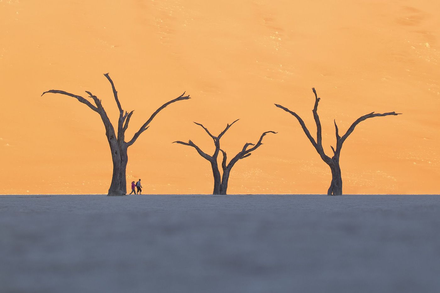 Namibie Deadvlei