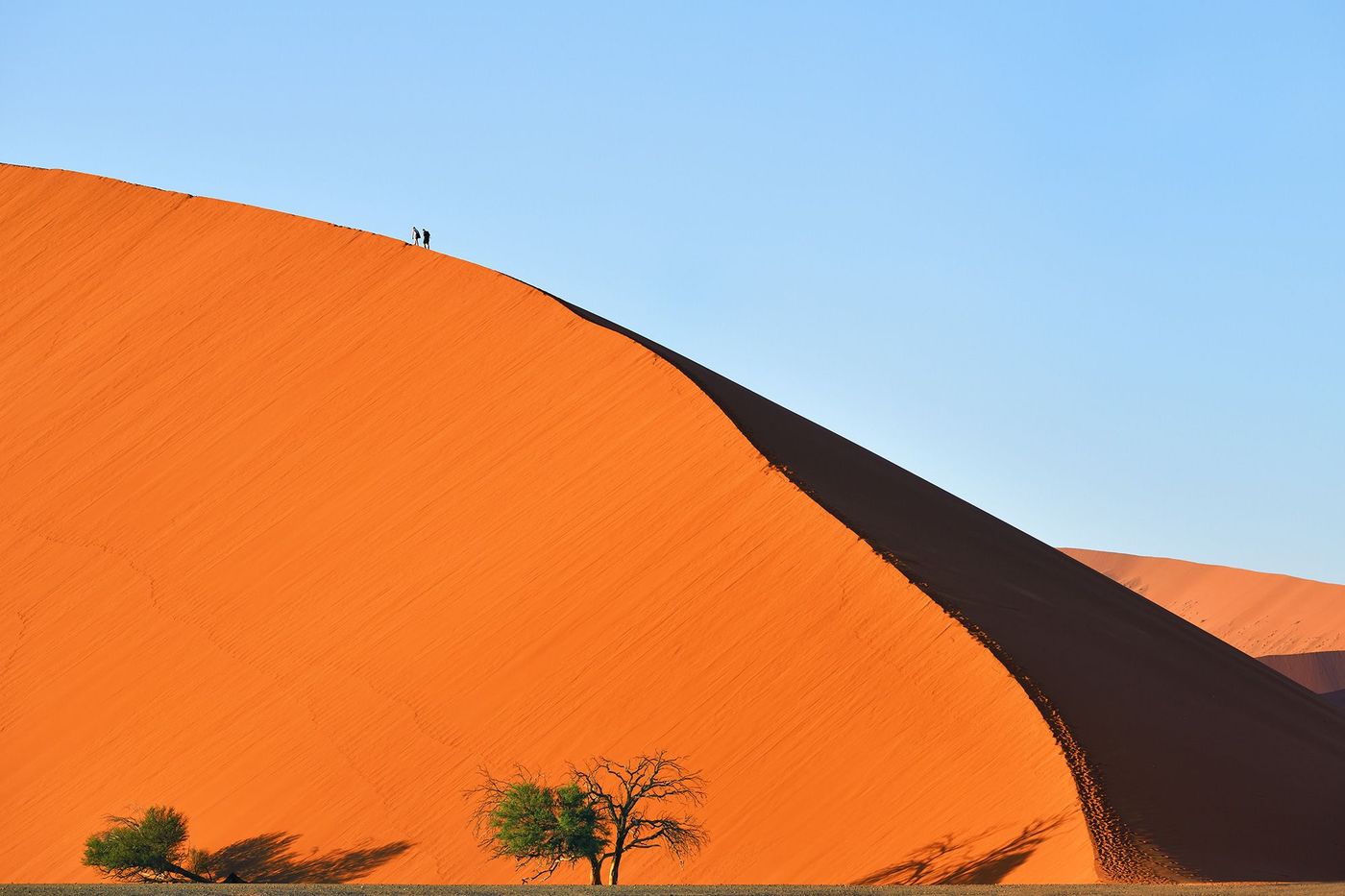 Namibie Dune 45