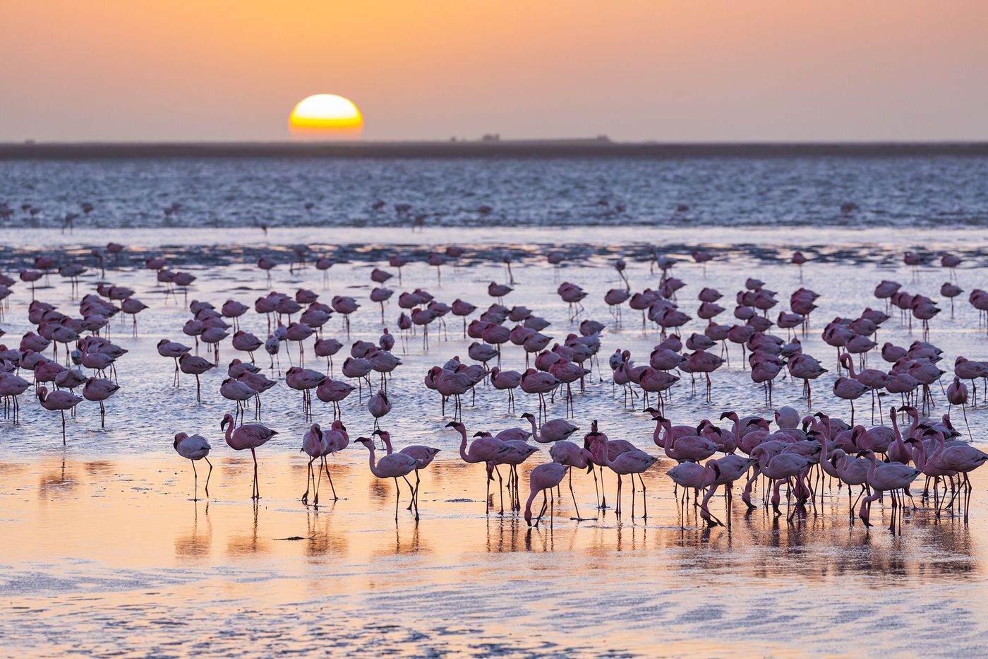 Namibie Walvis Bay