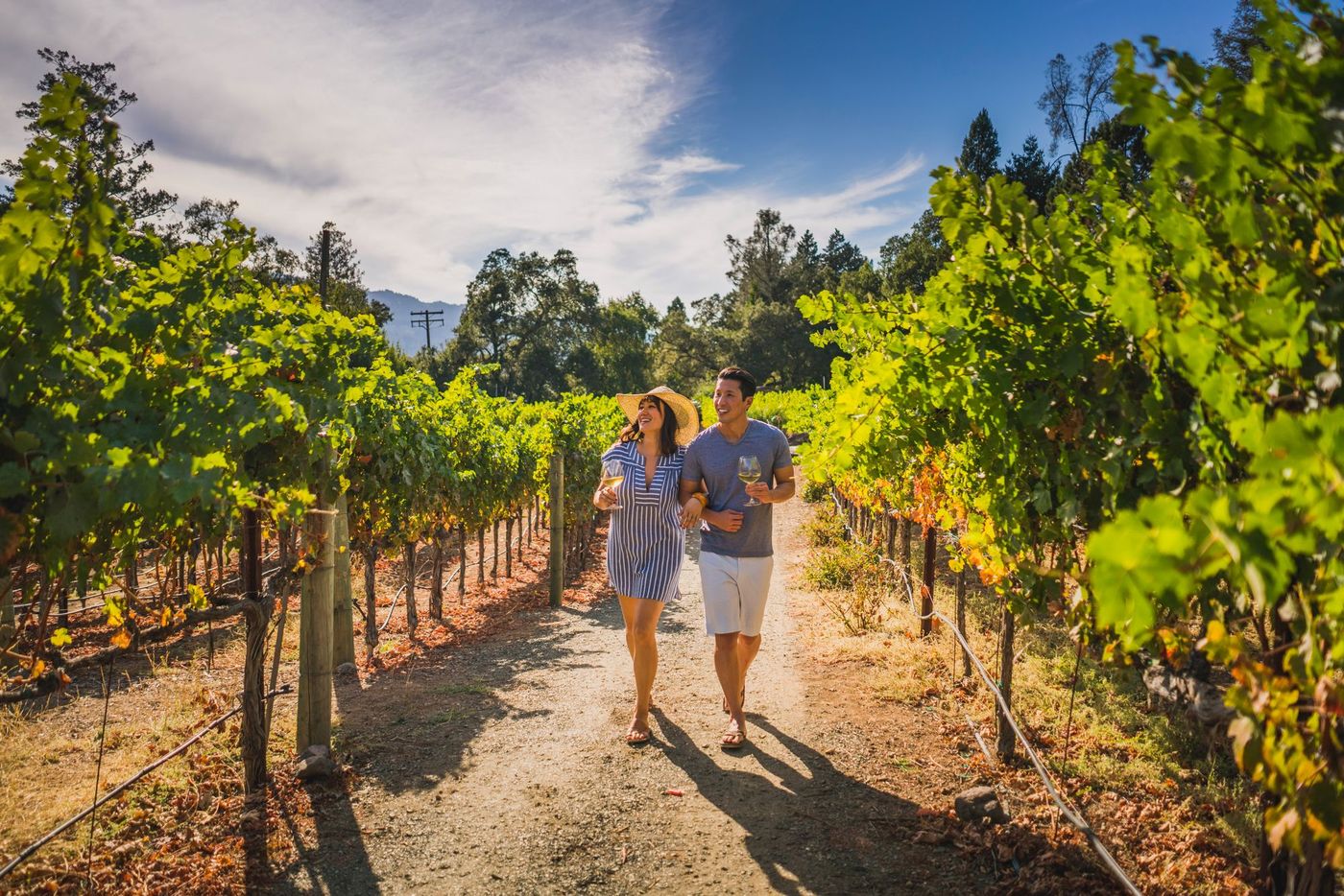 Napa Vallée Californie