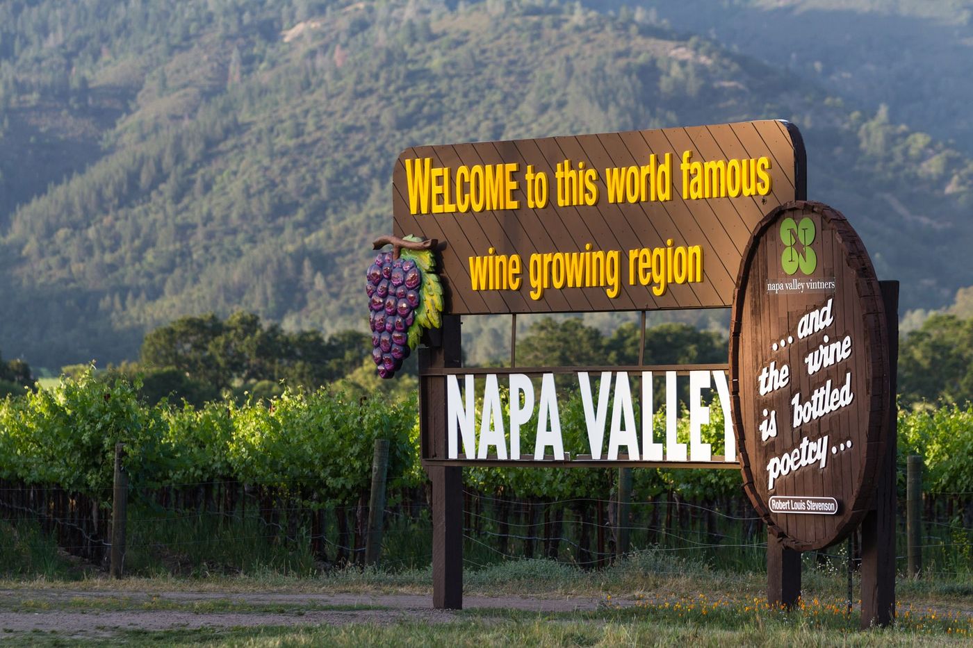 Napa Vin Californie