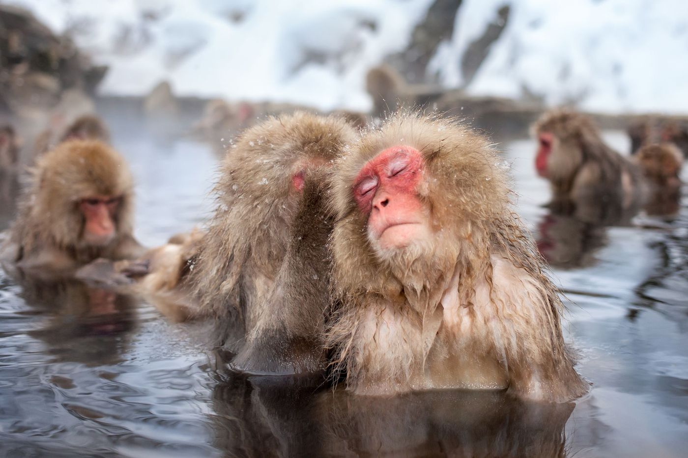 Naturisme Osen Japon