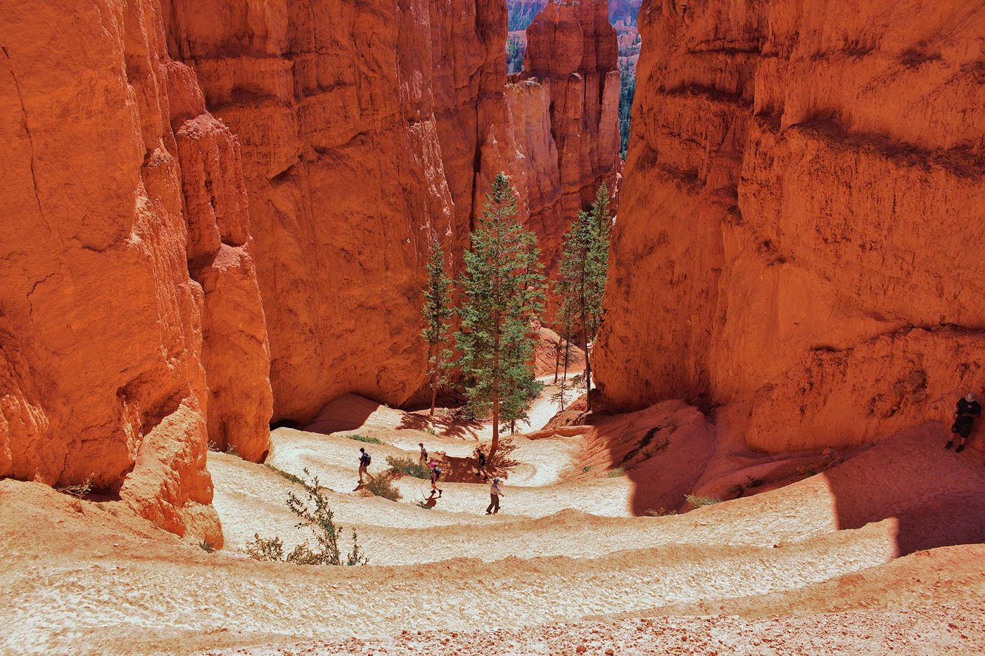 Navajo Loop - Bryce