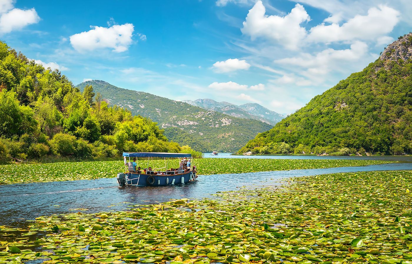 Navigation sur le lac Skadar