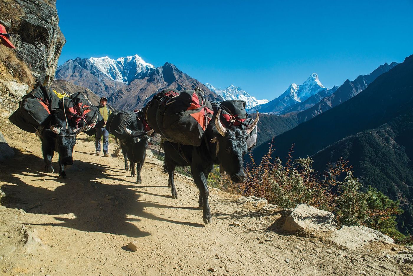 Népal Khumbu