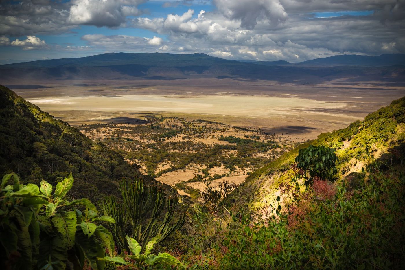Tanzanie Ngorongoro