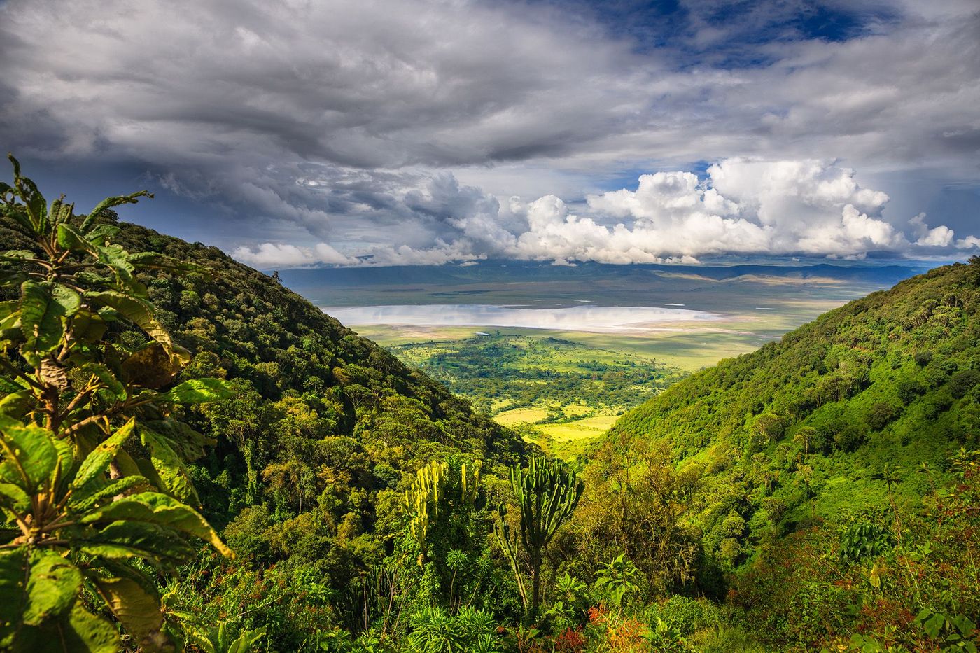 Ngorongoro