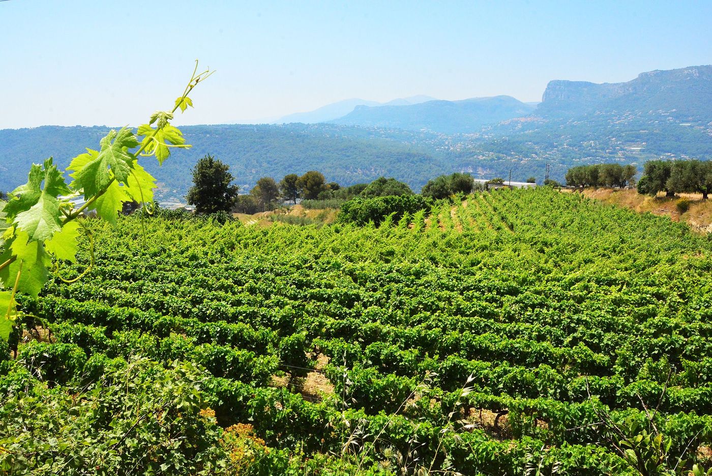 Nice Domaine de la Source