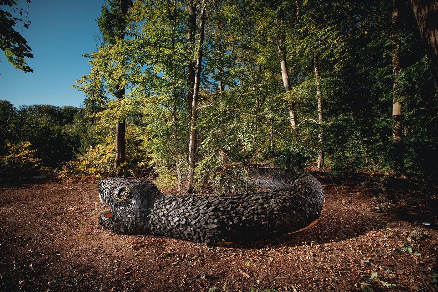 Forêt monumentale Nidhogg