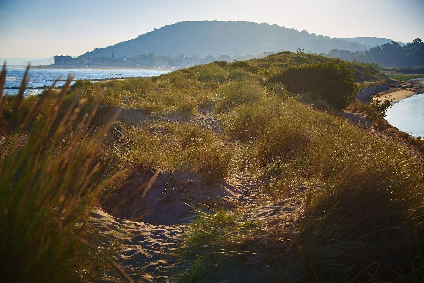 Normandie Cabourg Dunes
