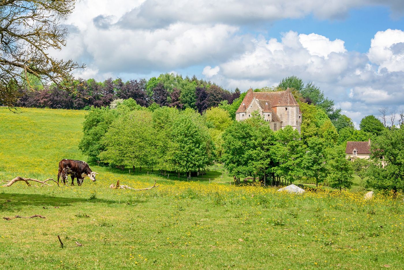 Normandie Manoir de Courboyer